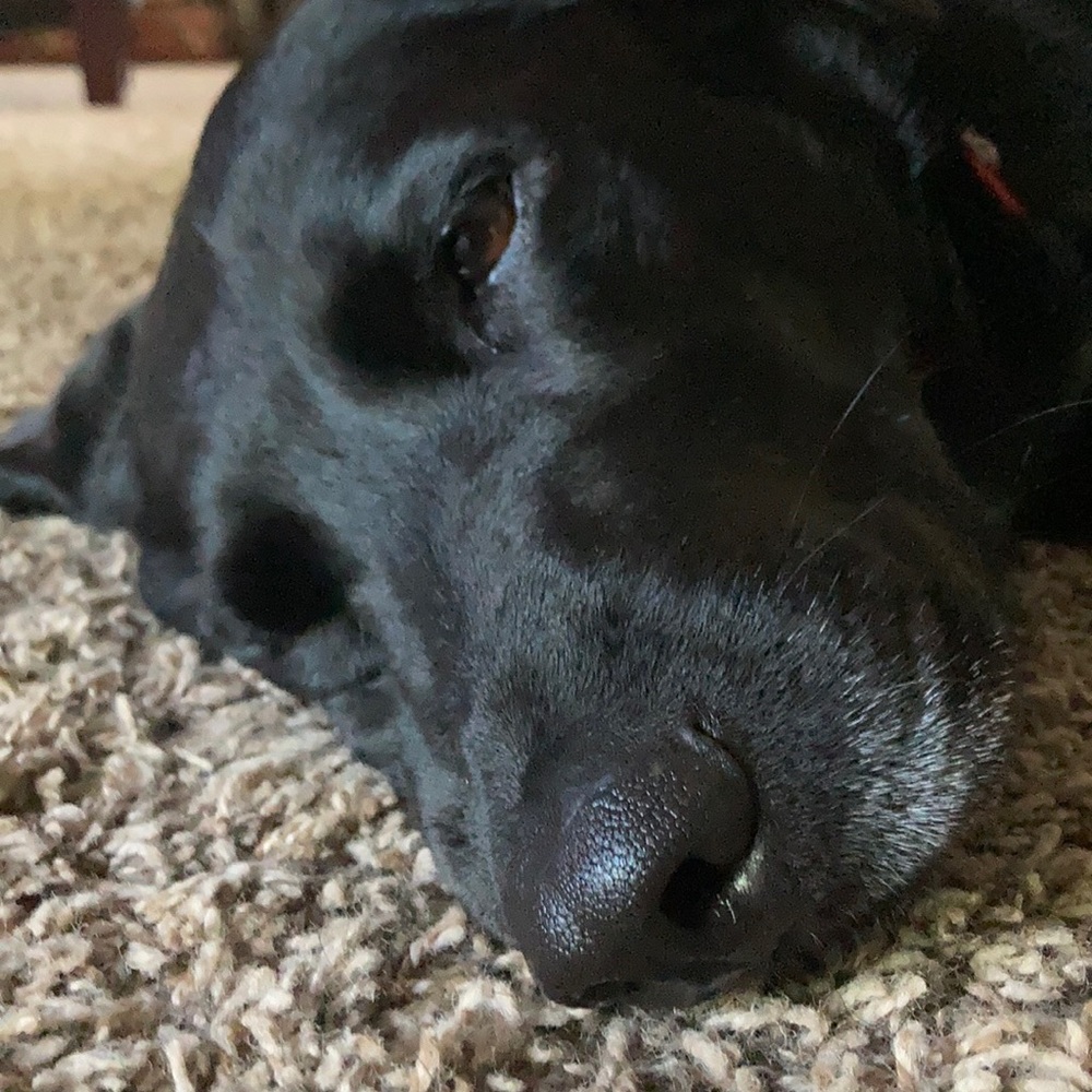 Meet your Posher, Chrishawna